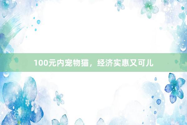 100元内宠物猫,经济实惠又可儿